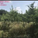 시묘보건진료소 이미지