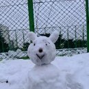 꿈자람구장 이미지