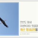 황새공원 다목적광장 네이버블로그