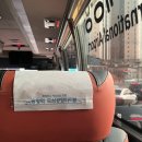 팔음농장 | [호주 시드니 워홀 D+1~6] 관광객의 마음으로 맞이하는 Sydney