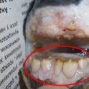 물고기익스프레스