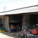 여주-0520 Daum카페