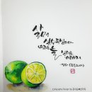 붓펜감성 수채캘리 이미지