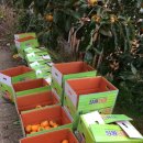 봉곡농장 이미지