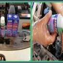 영 모터스 이미지