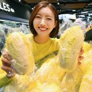 홈 이미지