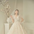 비비드블랑 이미지