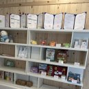 베리독하우스 애견유치원 & 애견호텔 부천점 이미지