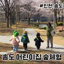 참자연 어린이집 | 송도 숲체험 어린이집 자연의 색을 찾아서
