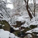 손골공원 이미지