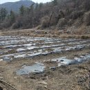 산수화농장 이미지