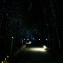 태화강 국가정원 코스 이미지