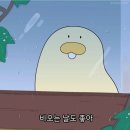 교래향