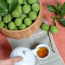 삼복숯불구이