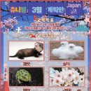 랄라키즈
