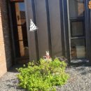 소소원더테라스 이미지