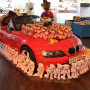 테지움사파리 이미지