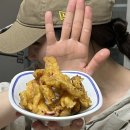 추적60병 이미지