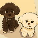 제제네 멍치원 | 리아 기록(유치원 기록~ 그리고 리아 미모 기록)