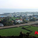 성산일출봉농업협동조합신산지점 이미지