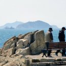 제주복국 이미지