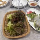 해양회대게센타 | modhanni] 포항 죽도시장 대게 맛집 🦀 영광회대게센타 솔직 방문 후기