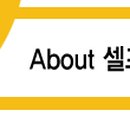 어바우트