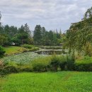 GS25포항지곡 이미지