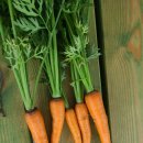 은광농장 이미지