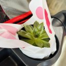 (주)팜크로스 | 용인 실내동물원 리프플레이스 아이랑 방문 내돈내산 솔직후기