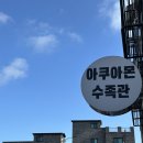 아쿠아몬