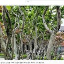 민들레샘물 지역아동센터 이미지