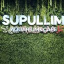 갈매광장_애비뉴거리 | [구리] 20개월 아기랑 수풀림 아쿠아카페 구리갈매점 이용 후기