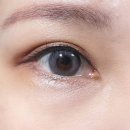 데이린