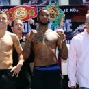 월드복싱 이미지