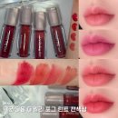 쿨톤 블러틴트 찾았다 | 카라디움 데일리 포그 틴트 4색상 전부 써봄