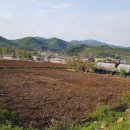 노곡리농장 이미지