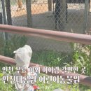 전동 31-3 공영주차장 | 인천대공원 동물원 입장료 무료 야외 아이랑 갈만한 곳