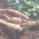 토가식당 이미지