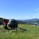 동막골목장 이미지