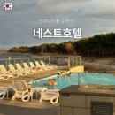 모자치킨 | 인천 네스트호텔 수영장 겨울 후기 (루프바 치킨)