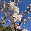 황령산 문현약수터 이미지