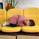 품안에약국 | 아이가 배가 아프다고 할 때, 배가 아픈 위치 보기