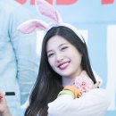레젤