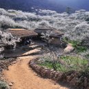 펜션빛뜨란 이미지