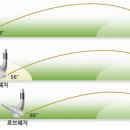 장대골프존
