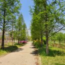 엽순공원(1) 이미지