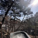 [충북/제천] ‘포레스트 리솜 해브나인 스파’ 후기 / 시설/ 가격 할인/ 이용 꿀팁 / 스톤스파 예약