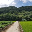 남해-284 이미지