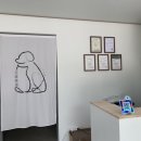 견묘양처 이미지